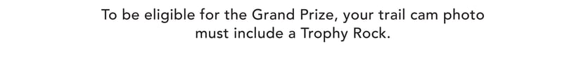 To be elegible for the grand prize, your trail cam photo must include a Trophy Rock.