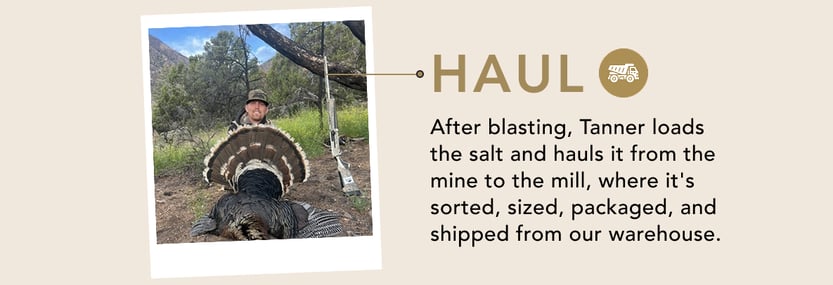 Haul. After blasting, Tanner loads the salt and haults it from the mine to the mill, where it's sorted, sized, packaged, and shipped from our warehouse.