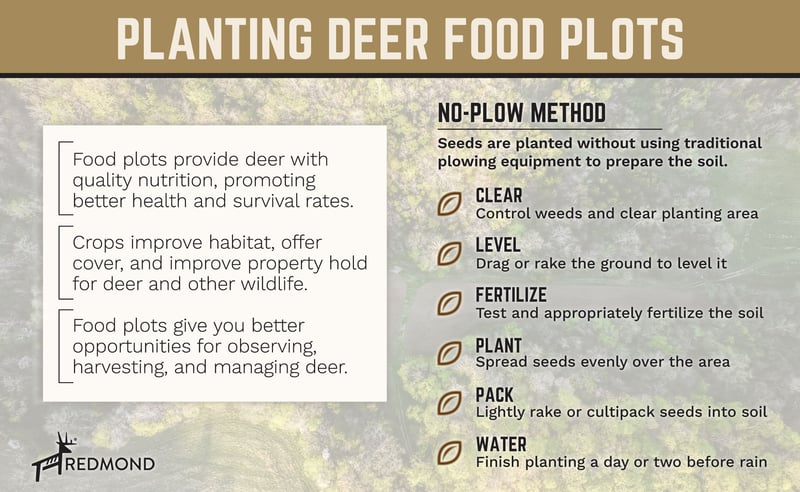 Benefits and tips for planting no-till deer food plots.