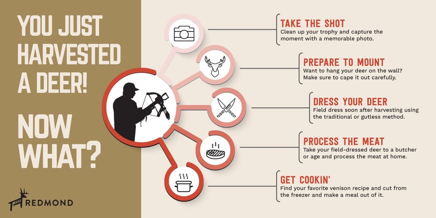 5 things you should do after killing a deer.