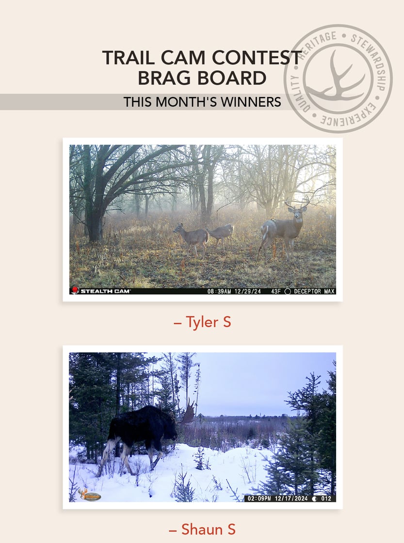 Trail Camera Contest Brag Board - This Month's Winners