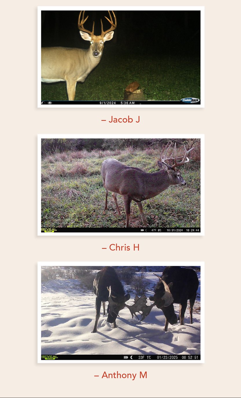 Hunt- May Re-Lyte Email_v0525_8