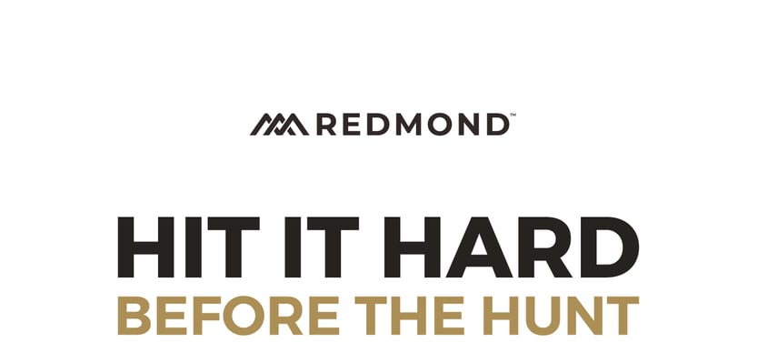 Hit it Hard Before the Hunt