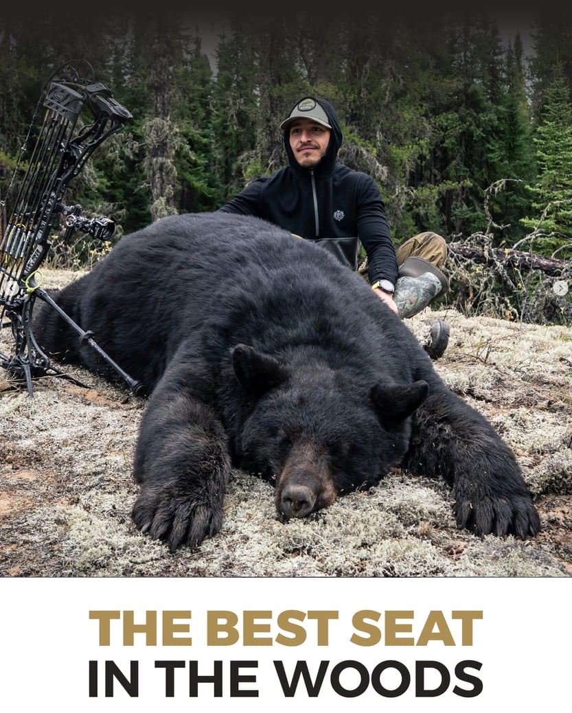 The Best Seat in the Woods