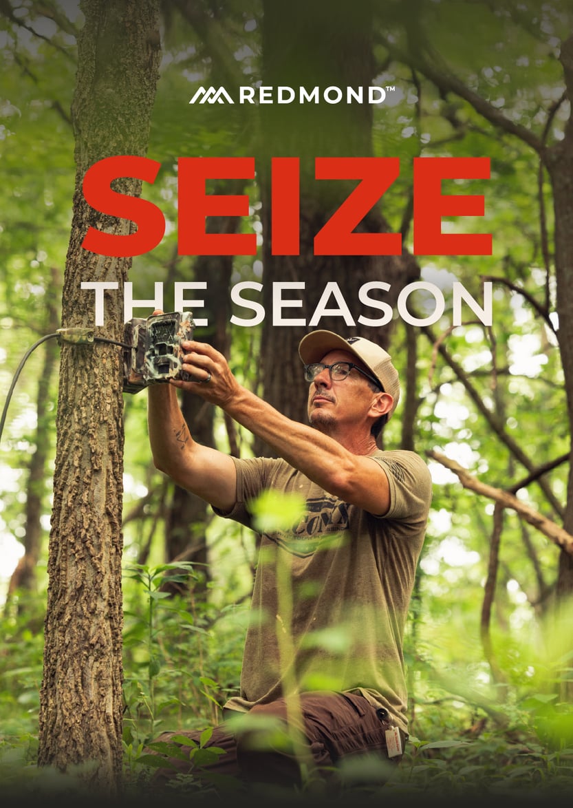 Seize the Season