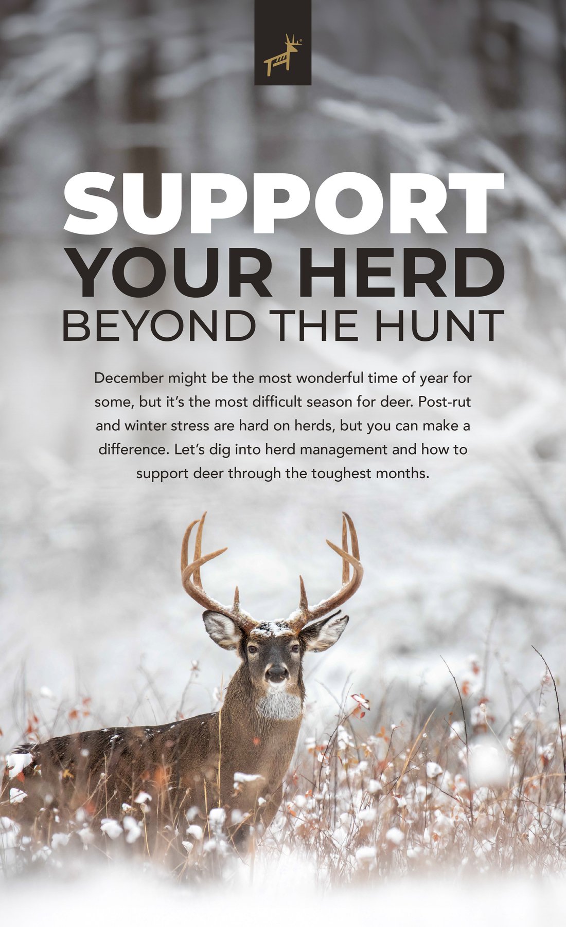 Support Your Herd Beyond the Hunt  Body Copy: December might be the most wonderful time of year for some, but it’s the most difficult season for deer. Post-rut and winter stress is hard on herds, but you can make a difference. Let’s dig into herd management and how to support deer through the toughest months.