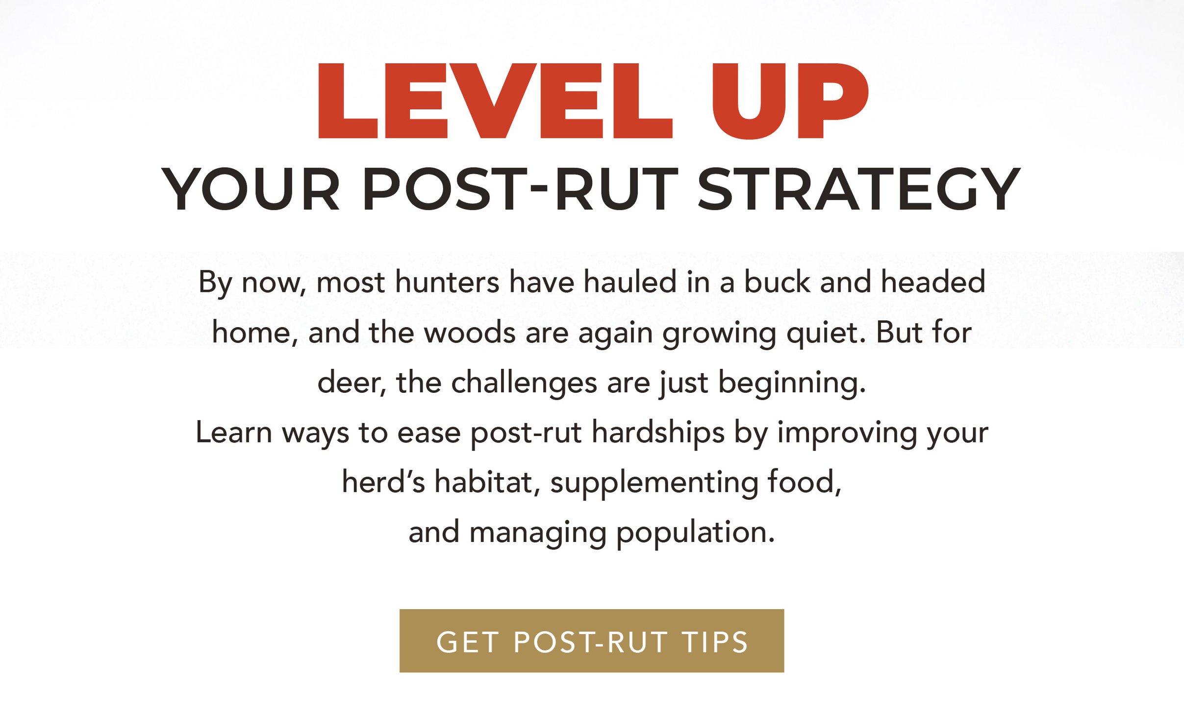 Level Up Your Post-Rut StrategyBody Copy: By now, most hunters have hauled in a deer and headed home, and the woods are again growing quiet. But for deer, the challenges are just beginning. Learn ways to ease post-rut hardships by improving your herd’s habitat, supplementing food, and managing population.