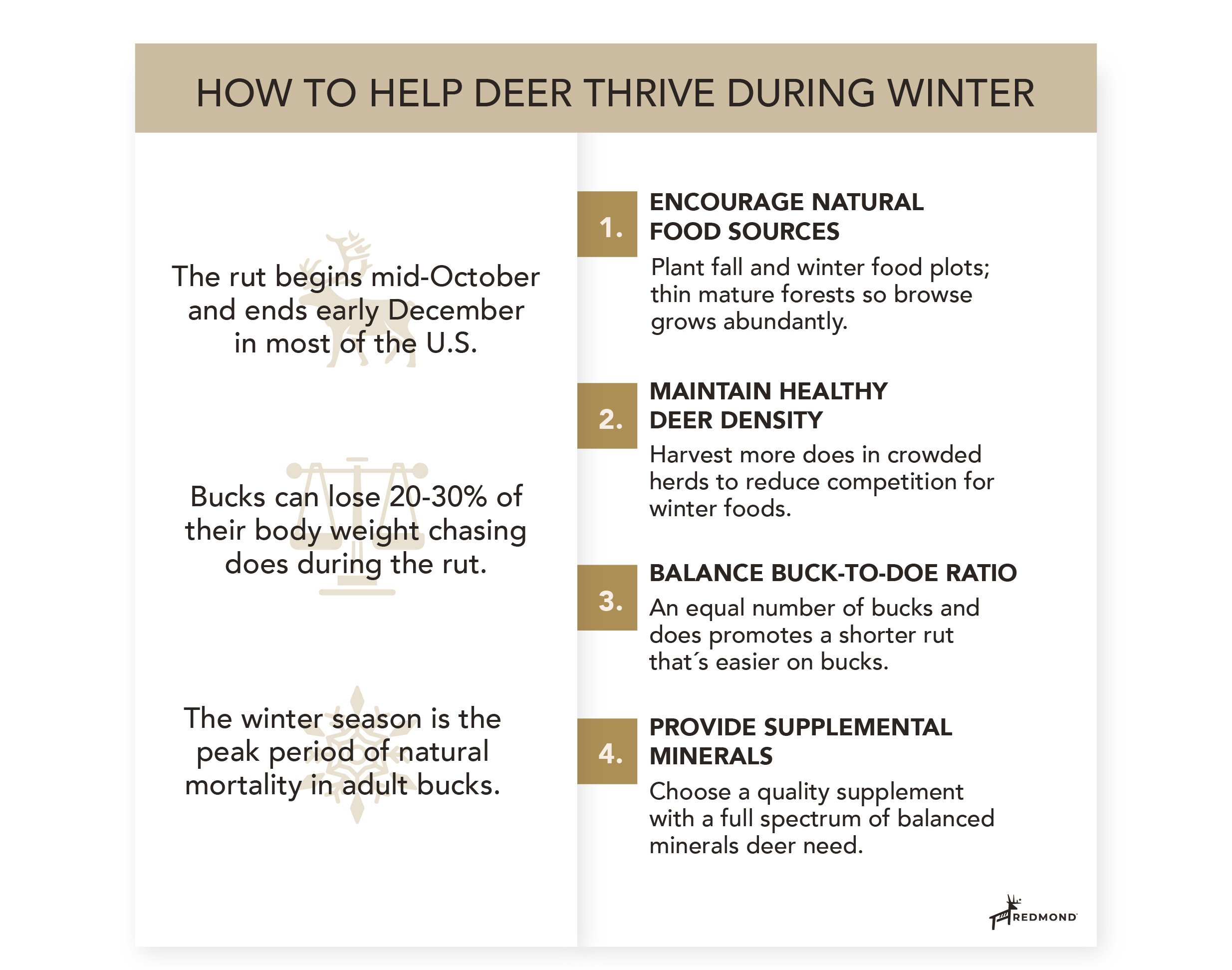 Hunt_December tribe_Newsletter_v1224_R5-03-1