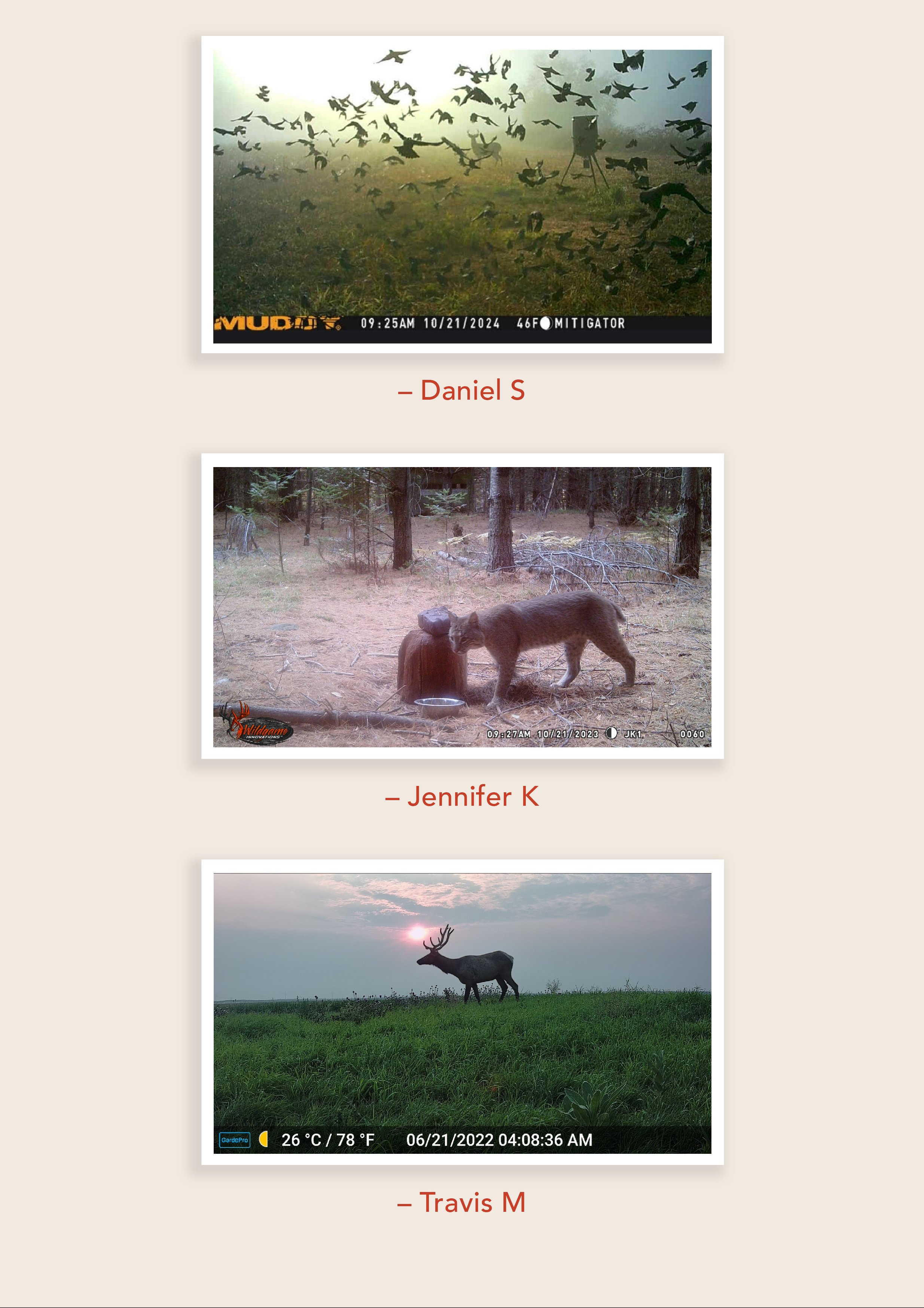 Hunt_December tribe_Newsletter_v1224_R5-08