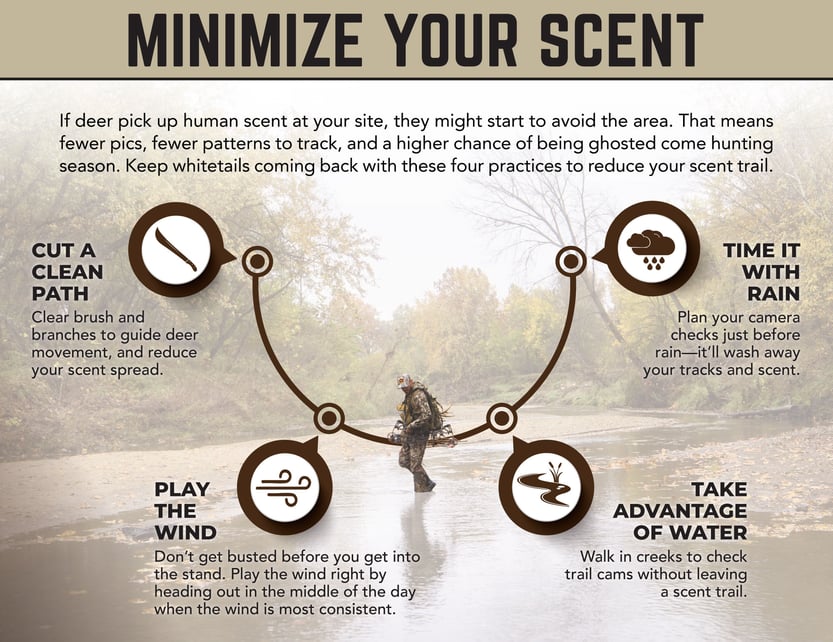 If deer pick up human scent at your site, they might start to avoid the area. That means fewer pics, fewer patterns to track, and a higher chance of being ghosted come hunting season. Keep whitetails coming back with these four practices to reduce your scent trail.