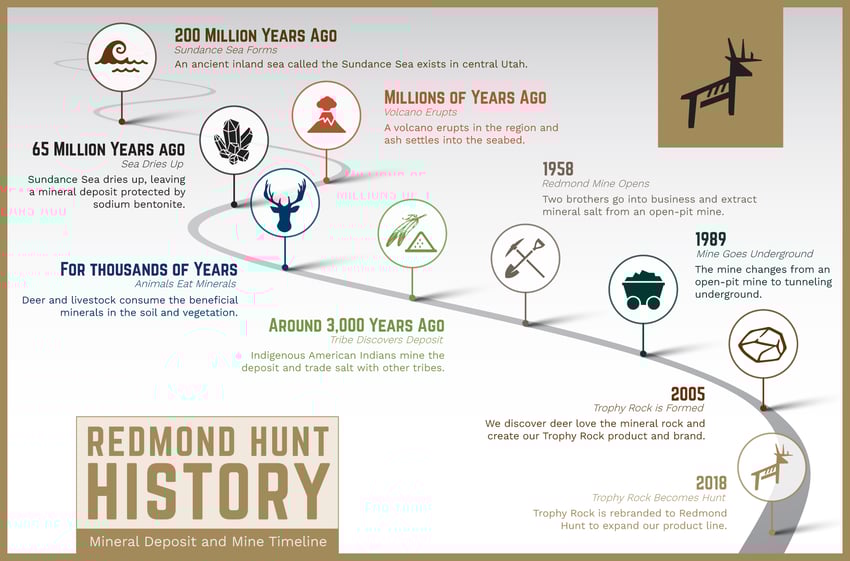 Timeline of the Redmond Salt Mine where Trophy mineral rock is mined.