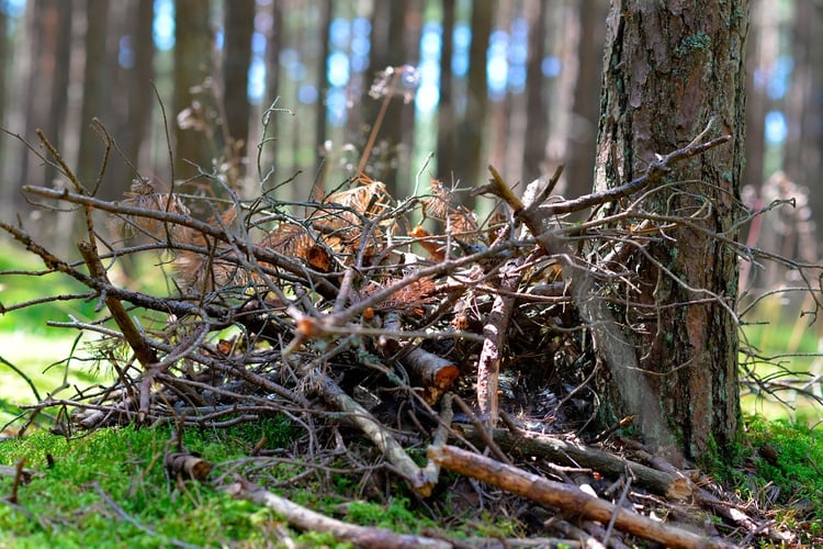 The beginnings of a wildlife brush pile in a backyard.