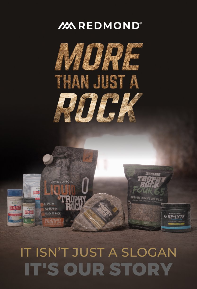 More Than Just a Rock. It Isn't Just a Slogan, It's Our Story