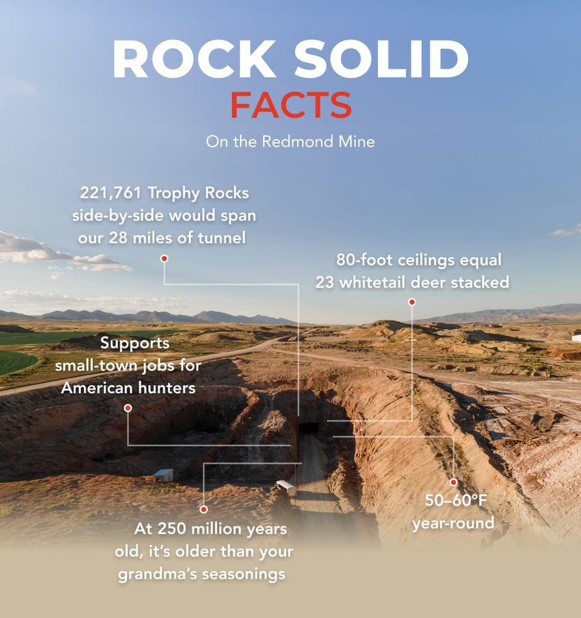 Rock Solid Facts on the Redmond Mine