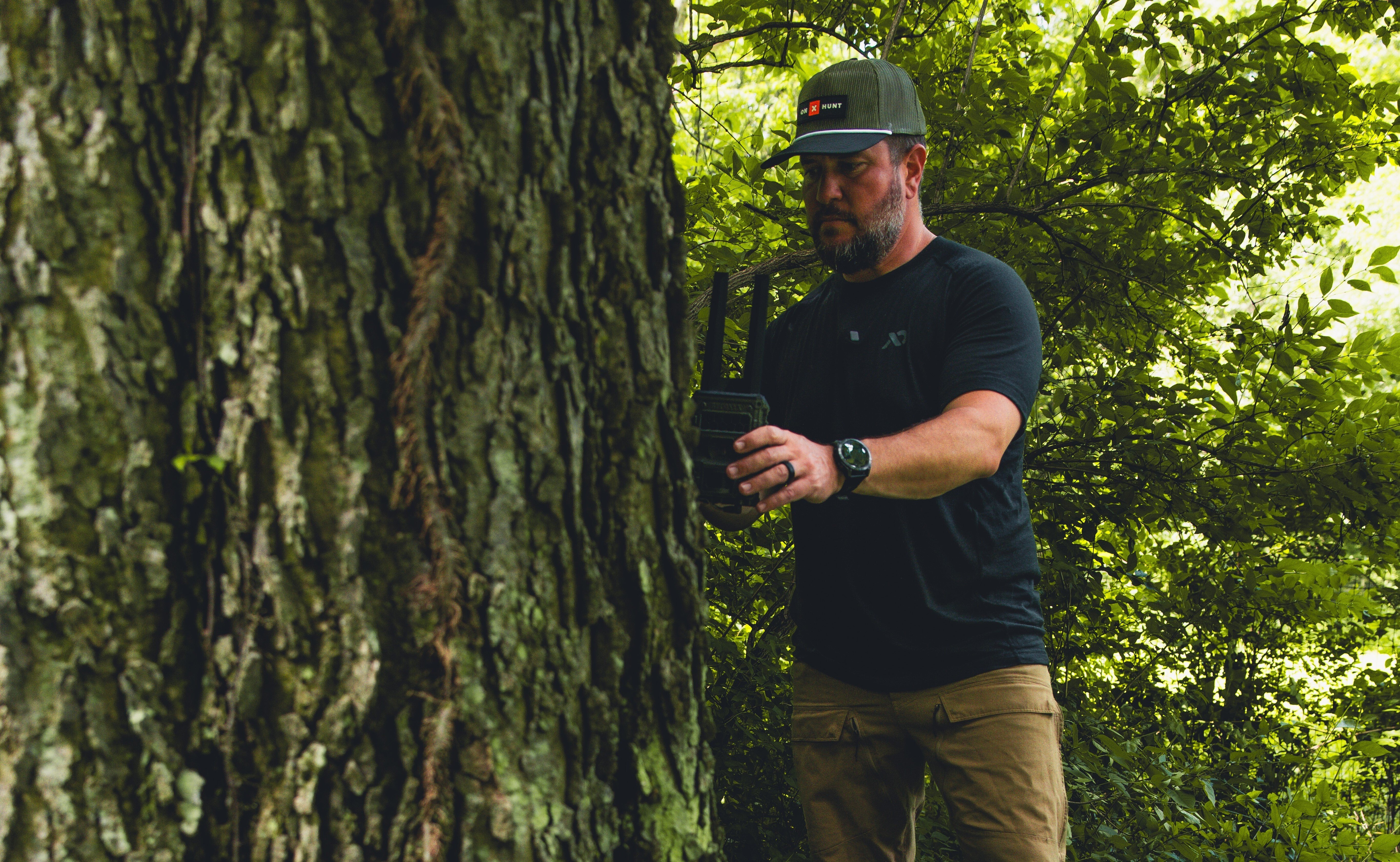 A man adjusts a trail camera on a tree in a wooded area.